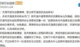天津爆料足协最新消息,揭秘足协内部动态与改革动向